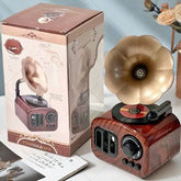 Cute Vintage Gramophone Music Box Artistic Desktop Decor for Living Room, Perfect Festival & Birthday Gift for Men & Women